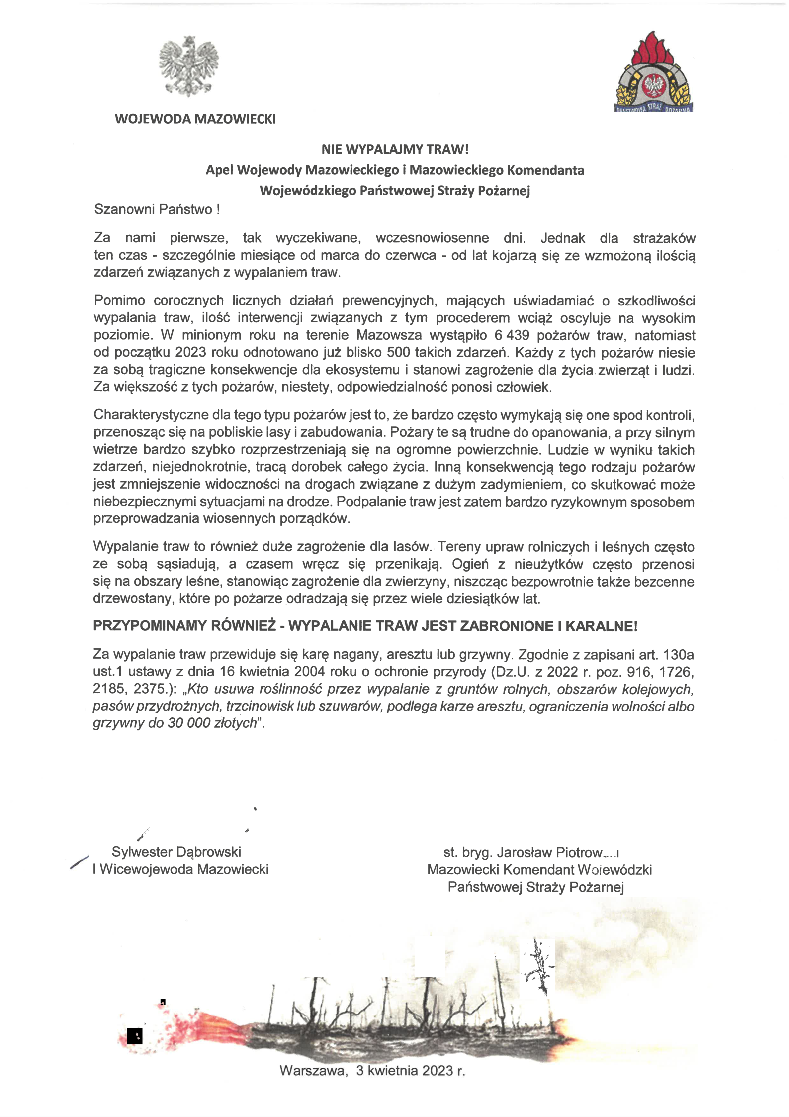 WOJEWODA MAZOWIECKI  NIE WYPALAJMY TRAW! Apel Wojewody Mazowieckiego i&nbsp;Mazowieckiego Komendanta Wojew&oacute;dzkiego Państwowej Straży Pożarnej  Szanowni Państwo !  Za nami pierwsze, tak wyczekiwane, wczesnowiosenne dni. Jednak dla strażak&oacute;w ten czas - szczeg&oacute;lnie miesiące od marca do czerwca - od lat kojarzą się ze wzmożoną ilością zdarzeń związanych z&nbsp;wypalaniem traw. Pomimo corocznych licznych działań prewencyjnych, mających uświadamiać o&nbsp;szkodliwości wypalania traw, ilość interwencji związanych z&nbsp;tym procederem wciąż oscyluje na&nbsp;wysokim poziomie. W minionym roku na&nbsp;terenie Mazowsza wystąpiło 6 439 pożar&oacute;w traw, natomiast&nbsp;od początku 2023 roku odnotowano już blisko 500 takich zdarzeń. Każdy z&nbsp;tych pożar&oacute;w niesie za sobą tragiczne konsekwencje dla ekosystemu i&nbsp;stanowi zagrożenie dla życia zwierząt i&nbsp;ludzi. Za większość z&nbsp;tych pożar&oacute;w, niestety, odpowiedzialność ponosi człowiek. Charakterystyczne dla tego typu pożar&oacute;w jest to, że&nbsp;bardzo często wymykają się one spod kontroli, przenosząc się na&nbsp;pobliskie lasy i&nbsp;zabudowania. Pożary te są trudne do opanowania, a&nbsp;przy silnym wietrze bardzo szybko rozprzestrzeniają się na&nbsp;ogromne powierzchnie. Ludzie w&nbsp;wyniku takich zdarzeń, niejednokrotnie, tracą dorobek całego życia. Inną konsekwencją tego rodzaju pożar&oacute;w jest zmniejszenie widoczności na&nbsp;drogach związane z&nbsp;dużym zadymieniem, co skutkować może niebezpiecznymi sytuacjami na&nbsp;drodze. Podpalanie traw jest zatem&nbsp;bardzo ryzykownym sposobem przeprowadzania wiosennych porządk&oacute;w. Wypalanie traw to r&oacute;wnież duże zagrożenie dla las&oacute;w.. Tereny upraw rolniczych i&nbsp;leśnych często ze sobą sąsiadują, a&nbsp;czasem wręcz się przenikają. Ogień z&nbsp;nieużytk&oacute;w często przenosi się na&nbsp;obszary leśne, stanowiąc zagrożenie dla zwierzyny, niszcząc bezpowrotnie także bezcenne drzewostany, kt&oacute;re po pożarze odradzają się przez wiele dziesiątk&oacute;w lat. PRZYPOMINAMY R&Oacute;WNIEŻ - WYPALANIE TRAW JEST ZABRONIONE I KARALNE!  Za wypalanie traw przewiduje się karę nagany, aresztu lub&nbsp;grzywny. Zgodnie z&nbsp;zapisani art. 130a ust.1 ustawy z&nbsp;dnia 16 kwietnia 2004 roku o&nbsp;ochronie przyrody (Dz.U. z&nbsp;2022 r. poz. 916, 1726, 2185, 2375.): &bdquo;Kto usuwa roślinność przez wypalanie z&nbsp;grunt&oacute;w rolnych, obszar&oacute;w kolejowych, pas&oacute;w przydrożnych, trzcinowisk lub&nbsp;szuwar&oacute;w, podlega karze aresztu, ograniczenia wolności albo&nbsp;grzywny do 30 000 złotych". Pamiętajmy i&nbsp;weźmy sobie do serca apele strażak&oacute;w: Wypalanie traw jest niebezpieczne, szkodliwe dla całego ekosystemu, kompletnie nieopłacalne i&nbsp;prawnie zabronione.  Sylwester Dąbrowski I Wicewojewoda Mazowiecki   st. bryg. Jarosław Piotrow Mazowiecki Komendant W&bull; ew&oacute;dzki Państwowej Straży Pożarnej   Warszawa, 3 kwietnia 2023 r. 