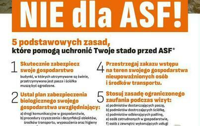 Zdjęcie do Nie dla ASF! 5 podstawowych zasad kt&oacute;re pomogą uchronić Twoje stado przed ASF