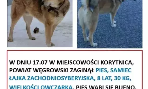Zdjęcie artykułu z dnia 22-07-2025